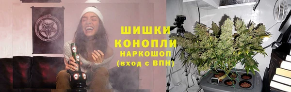 винт Гусиноозёрск