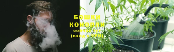 винт Гусиноозёрск