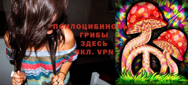 прущие крисы Гусев
