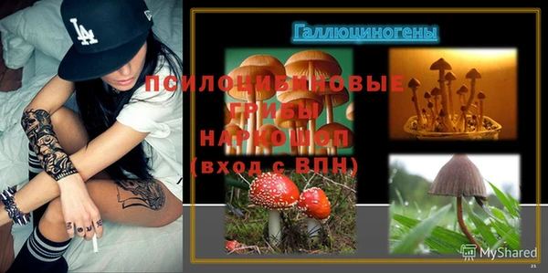 прущие крисы Гусев