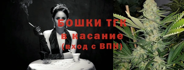 прущие крисы Гусев
