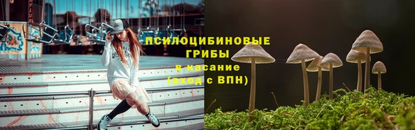 прущие крисы Гусев